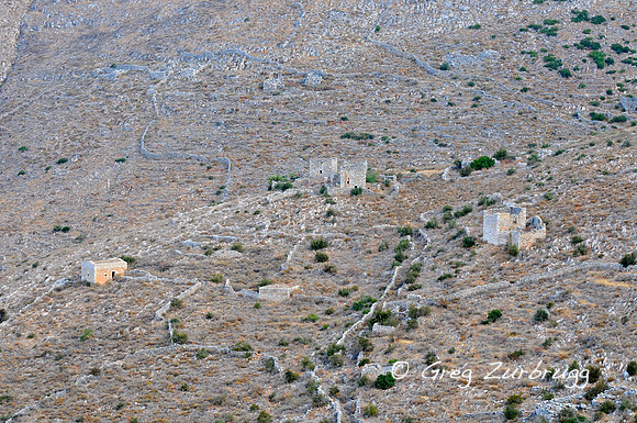 DSC_4856.JPG