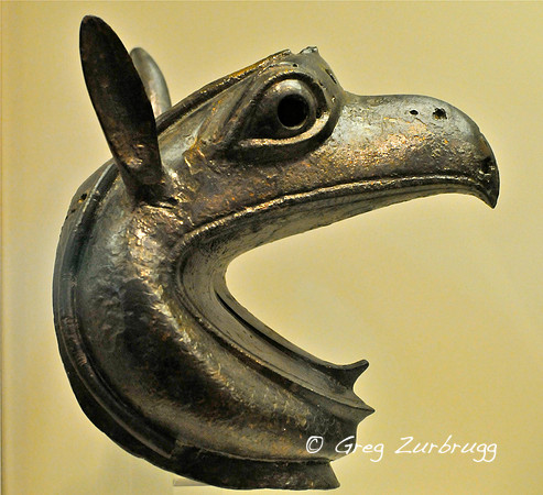 Griffin head