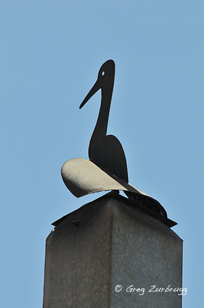 DSC_4566.JPG