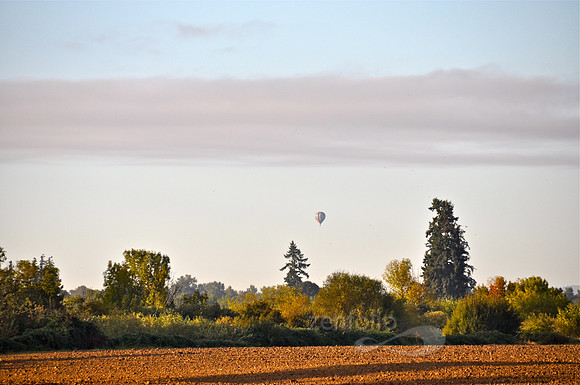 Heading North Along Windsor Island Road