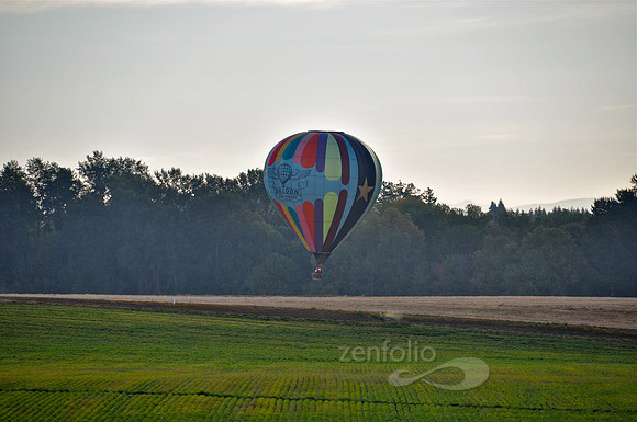 Landing in Stubble Field