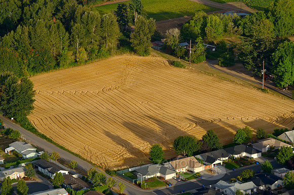 Wheat Stubble Field