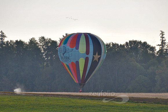 Landing in Stubble Field