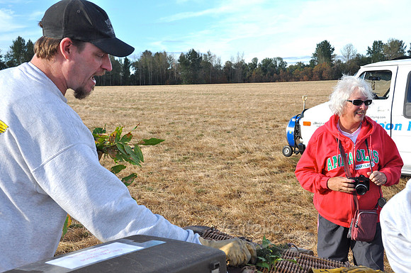 Picking Out the Leaves From Tree Impact