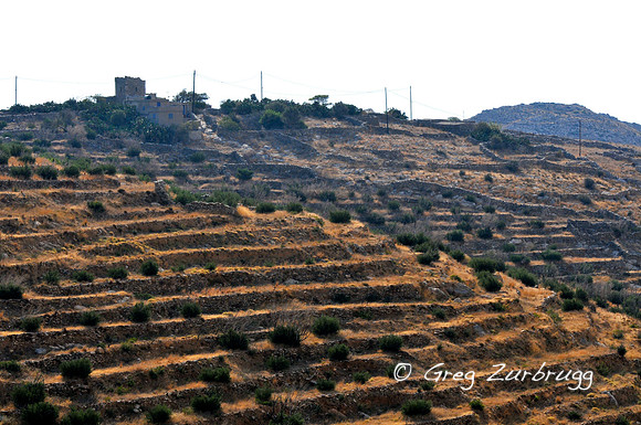 DSC_4866.JPG